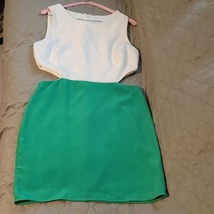 Petite Lined Dress. Made in USA